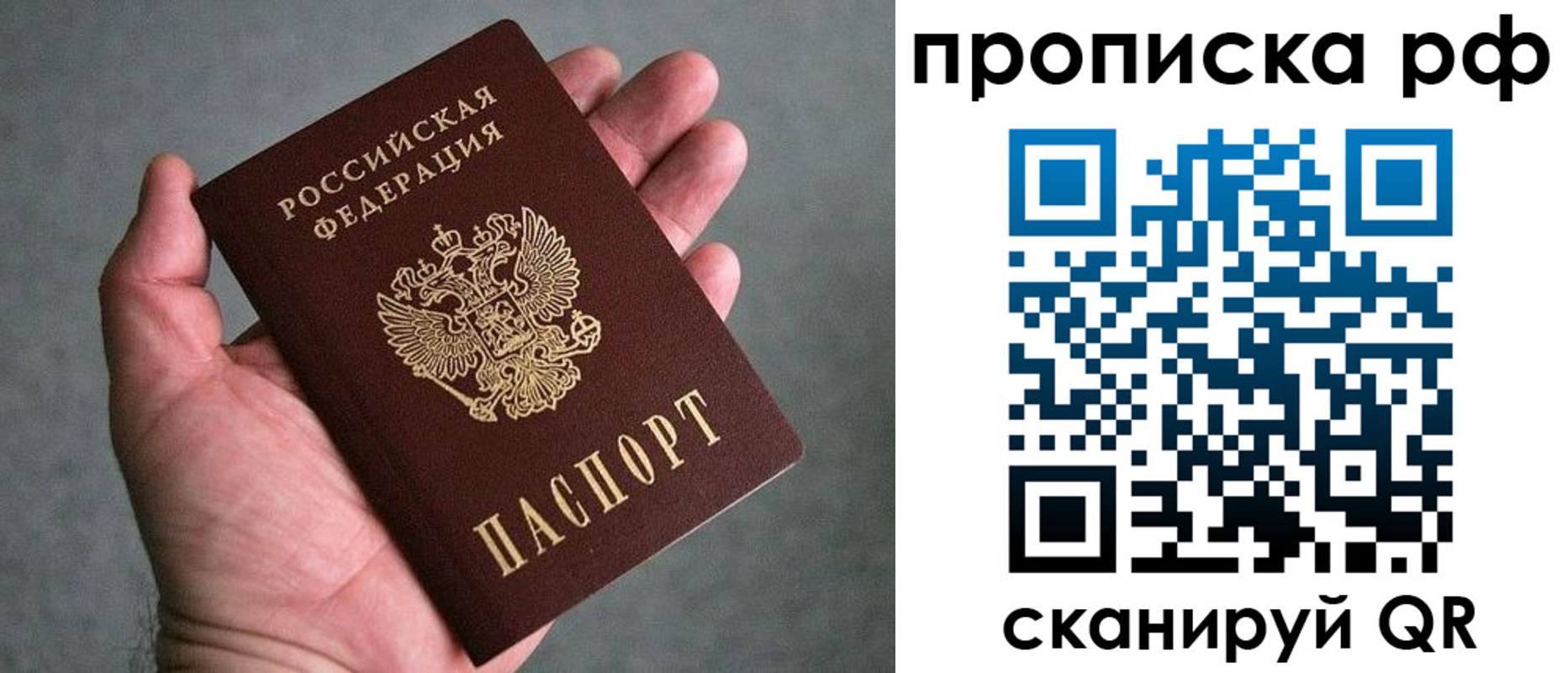 прописка поиск в Кропоткине